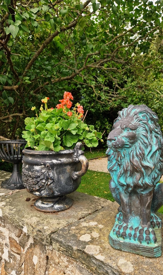 image of a potted flower and a lion